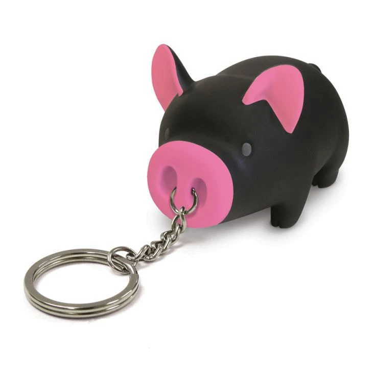 Promotional Gift Keychains